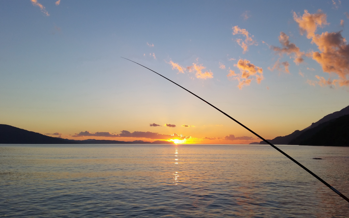 Best Spots for Fishing Near Salida, CO - and Land Available Nearby